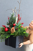 Deluxe Christmas Exclusive, świąteczna kompozycja do twojej donicy