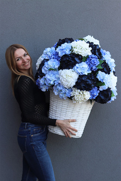 Karenao Hortensje Blue, kosz z hortensjami, wym.85×60cm
