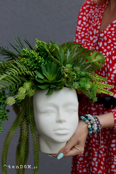 Green Head, efektowna kompozycja sukulenty w głowie