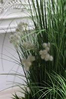 Delano Fiberglass White, kompozycja traw z dmuchawcami