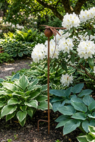 Rust Garden, metalowa dekoracja ogrodowa, ważka