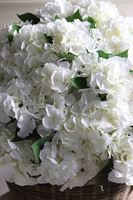 Prowansja Rattania, bogaty kosz z hortensjami