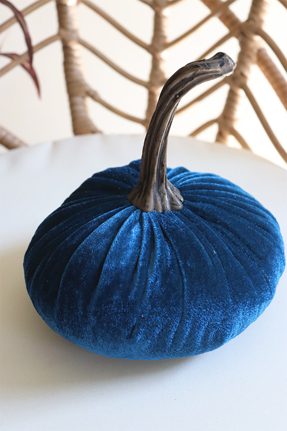Dynia Veluria, dekoracyjna dynia pluszowa, niebieska