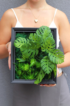 Sukulenty Black Frame 2, czarna jednostronna rama, wym.28x32x6cm