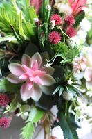 Albertina Design Greia, kompozycja z sukulentami