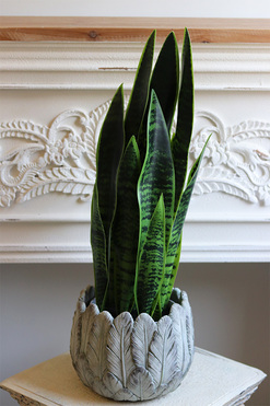 Sansewieria Gerra, roślina sztuczna w ceramicznej donicy, wys.65cm