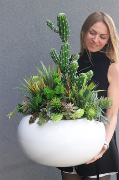Esperanza Cacti 3 Fiberglass, sukulenty z kaktusem w białej donicy, wys.80cm