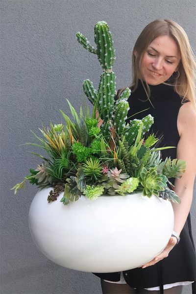 Esperanza Cacti 3 Fiberglass, sukulenty z kaktusem w białej donicy