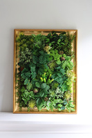 Sukulenty Green Decore, jednostronna rama