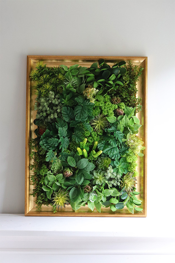 Sukulenty Green Decore, jednostronna rama