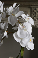 Modreta White, sztuczny storczyk w biało-srebrnej donicy, wys.52cm