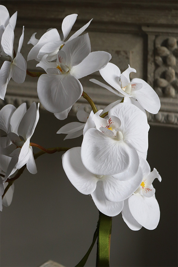 Modreta White, sztuczny storczyk w biało-srebrnej donicy, wys.52cm