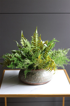 Tunila Verona, paproć w ozdobnej donicy, wym.44x50cm 