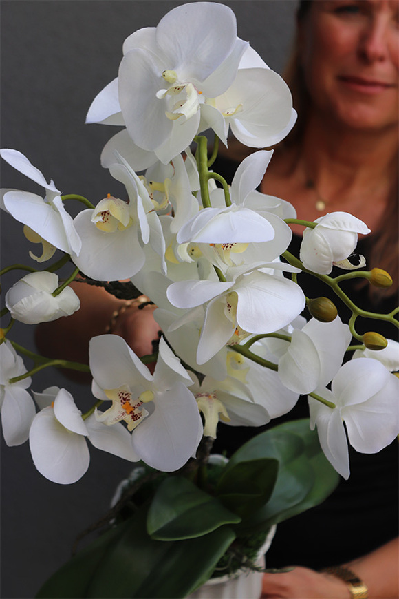 Meleusa Small, sztuczny storczyk w białej donicy, wym.60cm