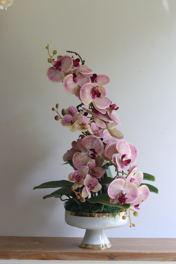 Granada Dortmund, gumowy storczyk w pucharze