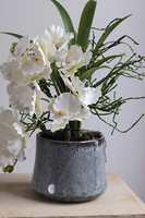 Orientana, gumowy sztuczny storczyk w ozdobnej donicy