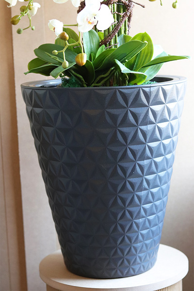 Milena Gerlida Lux, duży sztuczny storczyk w donic