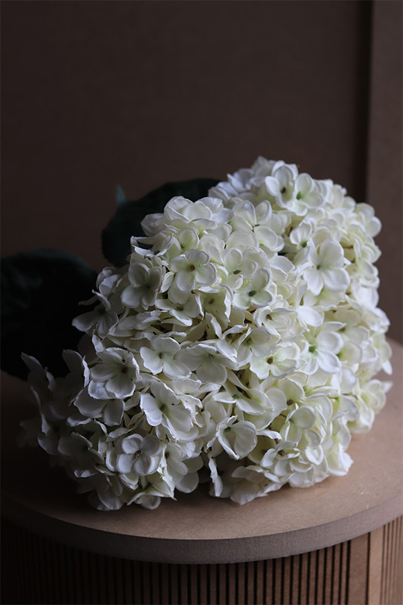 Hortensja Ecru Joline, bukiet kwiatów