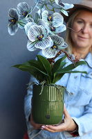 Green House, wysokiej jakości sztuczny storczyk, wym.58cm