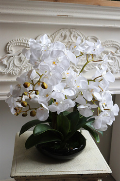 Japan Nuovo, sztuczny storczyk w czarnej misie, wys.46cm