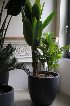 Jungle Concrete, sztuczne rośliny w betonowej donicy, wys.176cm