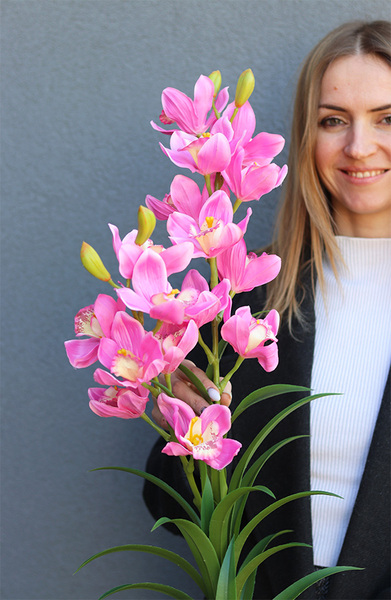 Cymbydium Róż, gałązka kwiatowa storczyk orchidea