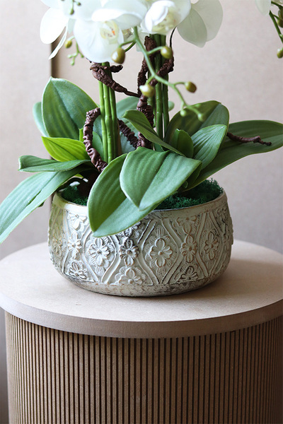 Nerulena 2, storczyk w donicy z ornamentem