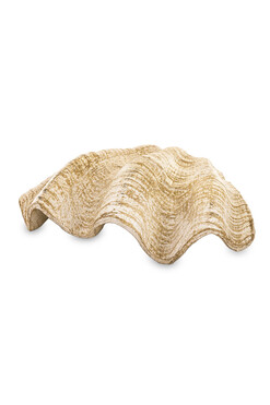 Marine, figurka dekoracyjna, muszla A, wym.6x21x15cm