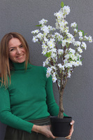 Kwitnąca Wiśnia, sztuczna roślina w doniczce