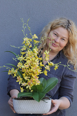 OD RĘKI Tajskie Słońce, sztuczny storczyk w słonecznym kolorze, wys.54cm