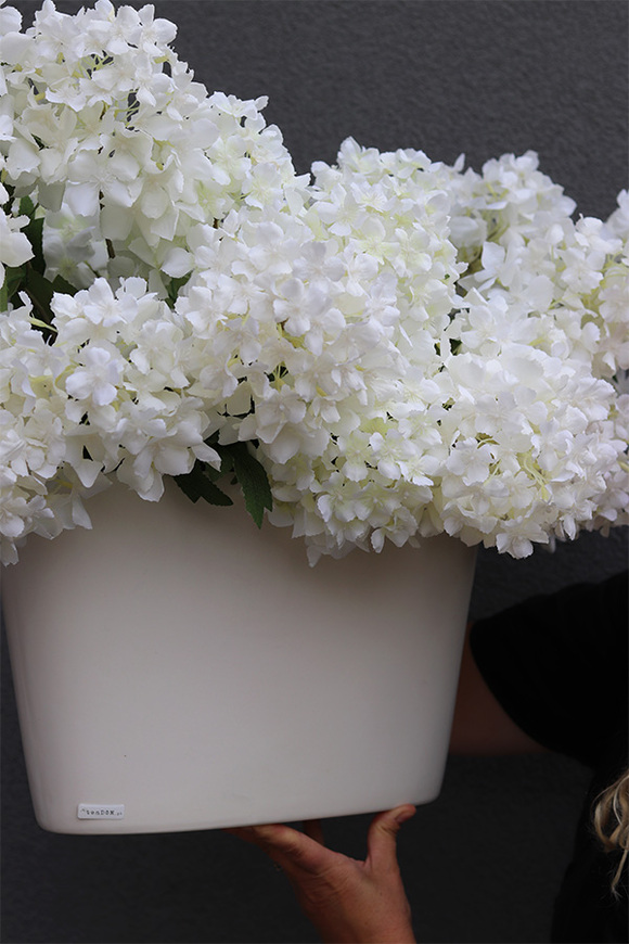 Biała Hortensja, kompozycja kwiatowa z białych kwiatów