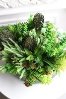 Suculentis Gaina 2, zielona kompozycja z sukulentami