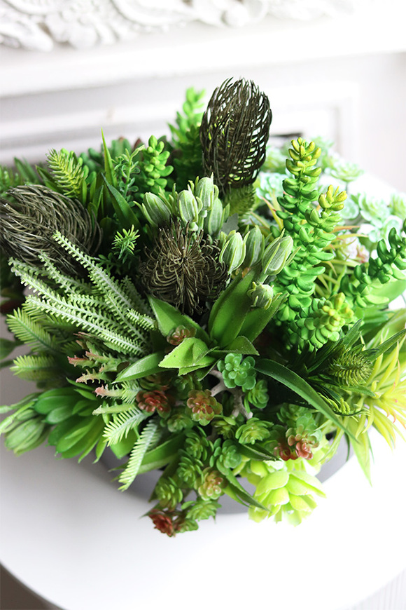 Suculentis Gaina 2, zielona kompozycja z sukulentami