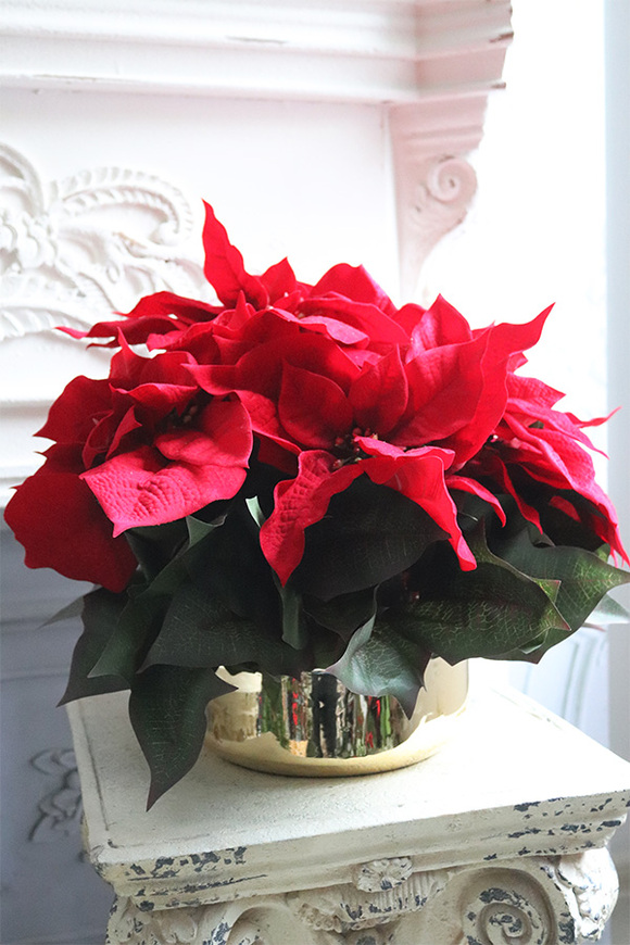 Gwiazda Betlejemska Goldieta, wysokiej jakości sztuczna roślina