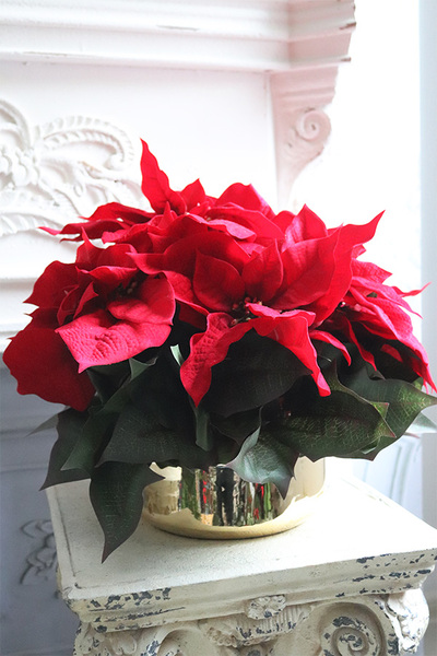 Gwiazda Betlejemska Goldieta, wysokiej jakości sztuczna roślina