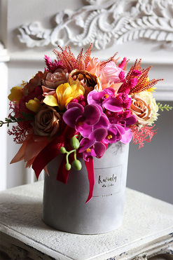 Octavia, welurowy flowerbox z orchideą, wys.32cm