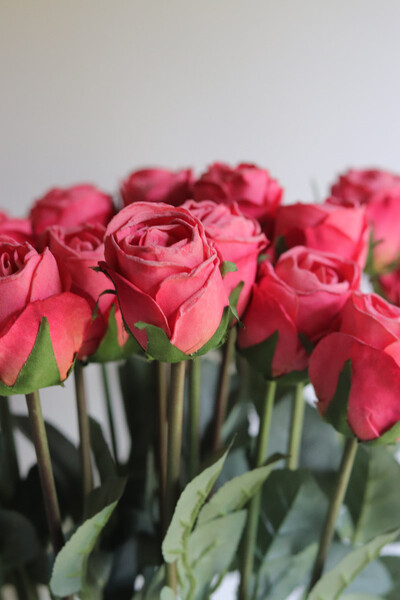 Hilton Roses, kompozycja kwiatowa róże w wazonie