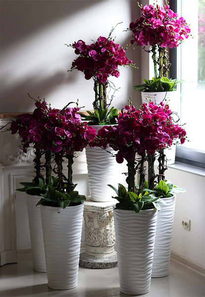 Gizelle Fuksja, wysoki sztuczny storczyk w białej donicy