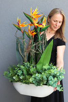 Big Laos Sukulenty & Strelicja 2, egzotyczna kompozycja w białej donicy, wys.93cm 