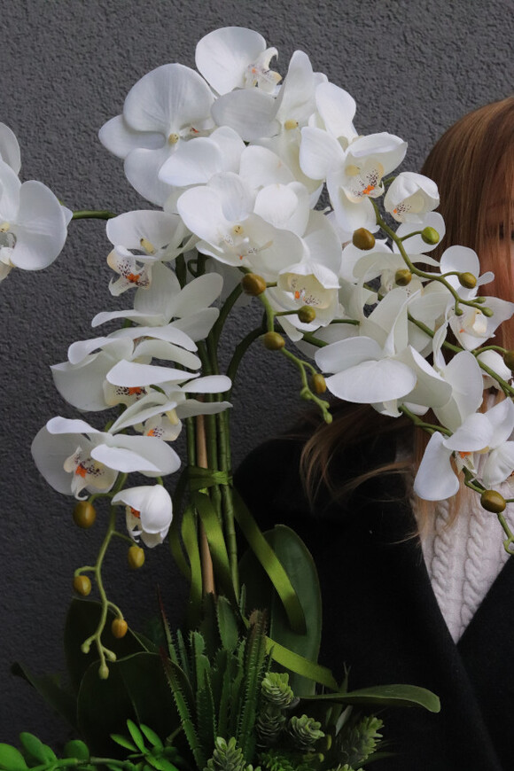 Chmielli Silver, storczyk i sukulenty w lustrzanej osłonce