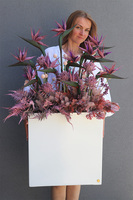 Violetera Fiberglass, sukulenty ze strelicjami w białej donicy