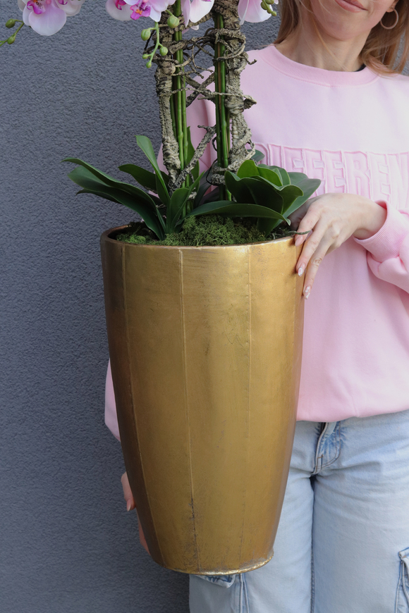 Pink Orchid Złota Bajka, sztuczny storczyk podłogowy