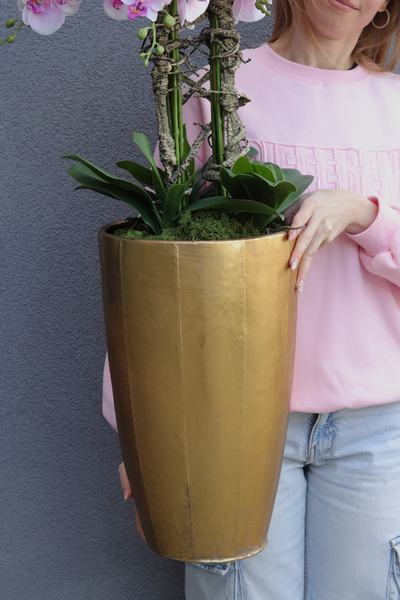 Pink Orchid Złota Bajka, sztuczny storczyk podłogowy