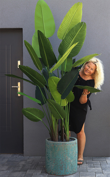 Andaluzja Bananowiec Hilton, wysokiej jakości sztuczne drzewo w donicy