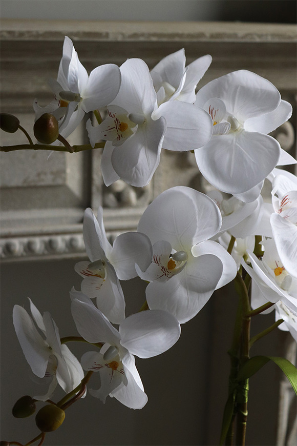 Modreta White, sztuczny storczyk w biało-srebrnej donicy, wys.52cm