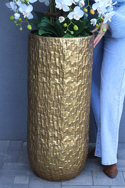 Golden Palace, wysoki storczyk podłogowy