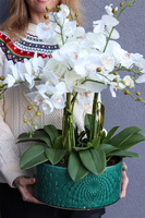 Dark Green Orient, wysokiej jakości sztuczny storczyk