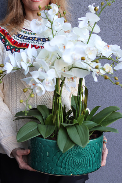 Dark Green Orient, wysokiej jakości sztuczny storczyk