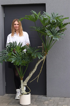 Filodendron Pierzasty, wysokiej jakości sztuczna roślina, wym.180cm