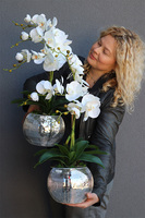 sztuczny storczyk Explosion Mini Ball